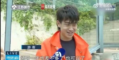 网红吃瓜副科长视频,揭秘官场背后的“瓜田”风云