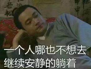 大雄不慌吃八瓜鱼视频,不慌应对的美食冒险之旅