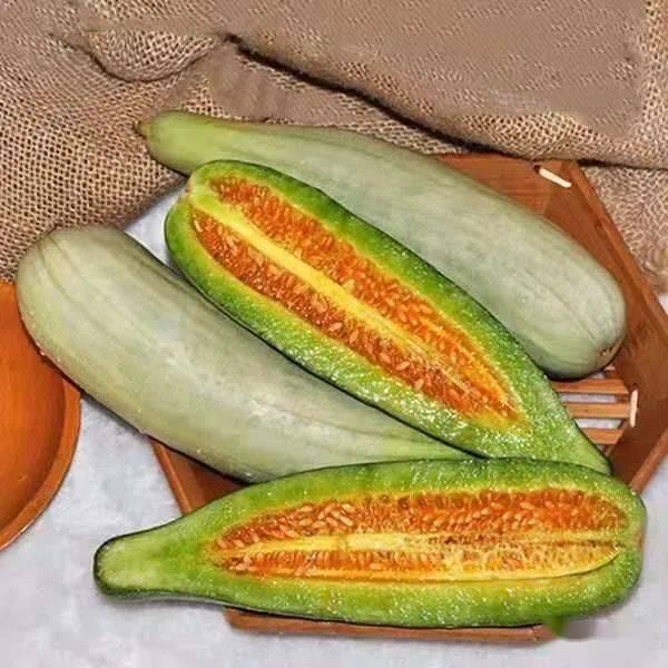 吃瓜视频8481806,热门话题背后的真相与讨论