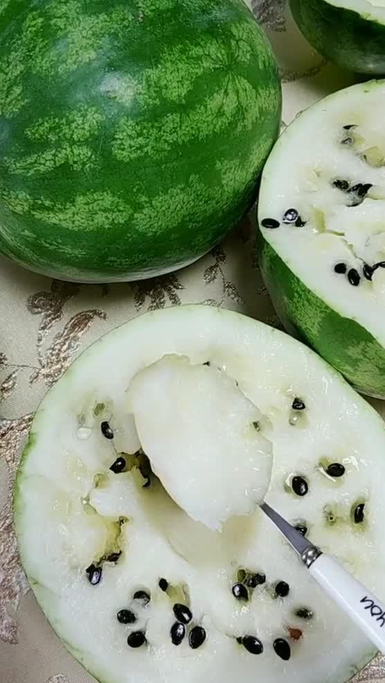 吃瓜神器劲爆打瓜视频下载,吃瓜神器带你畅享热门瓜料