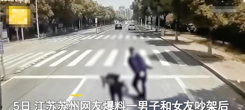 行人吵架路人吃瓜视频大全,路人围观吃瓜，记录那些让人捧腹的吵架瞬间