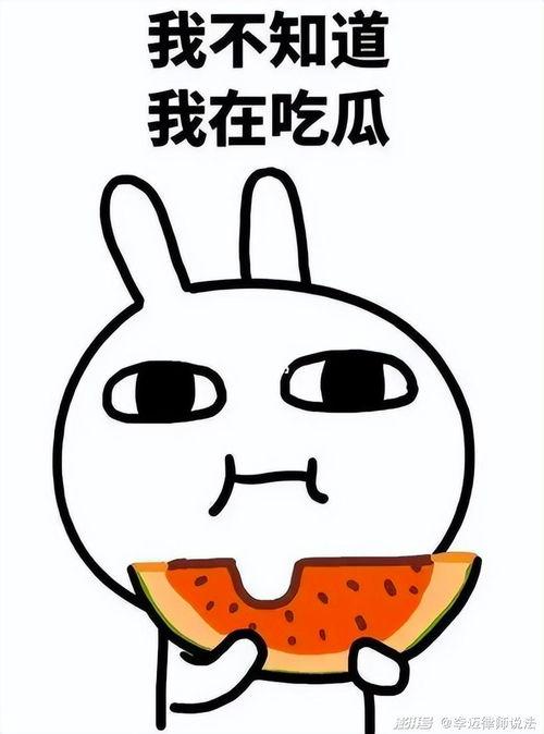 吃瓜惊呆到哭的视频,从吃瓜惊呆到泪流满面的感人瞬间