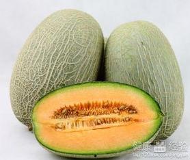 灯鱼可以吃哈密瓜吗视频,揭秘哈密瓜的适宜性