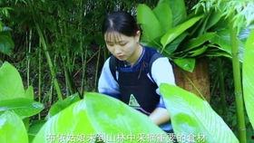 农村小妹吃瓜视频,揭秘乡村生活趣味瞬间